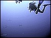 IMG_0741.JPG