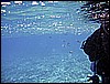 IMG_0743.JPG