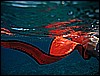 IMG_0744.JPG