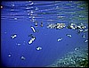 IMG_0747.JPG