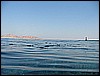 IMG_0748.JPG