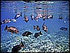 IMG_0749.JPG