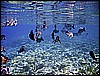 IMG_0750.JPG