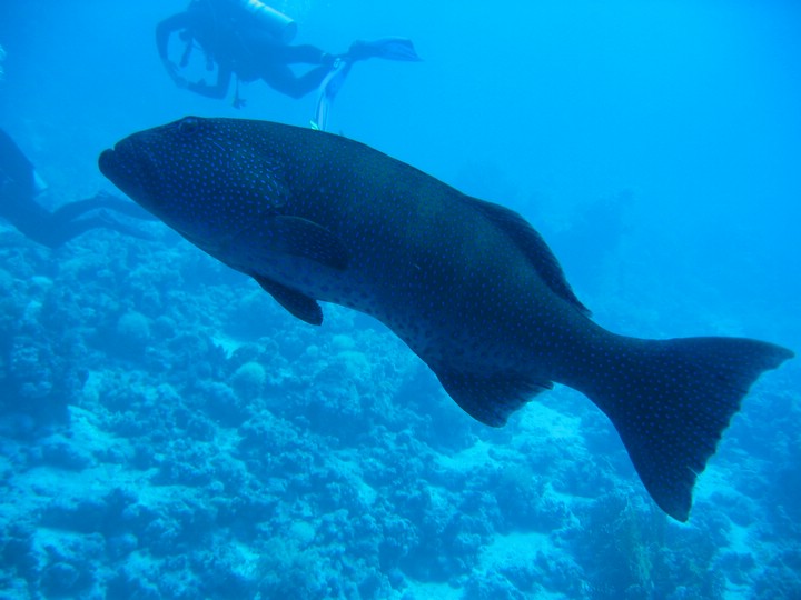 IMG_0757.JPG