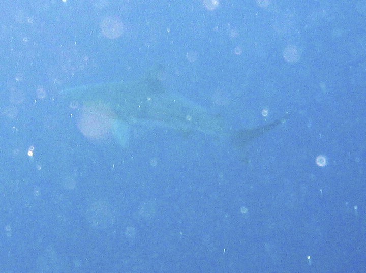 IMG_0788.JPG