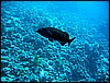 IMG_0756.JPG