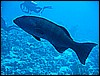 IMG_0757.JPG