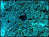 IMG_0764.JPG