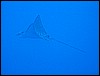 IMG_0776.JPG