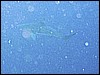 IMG_0788.JPG