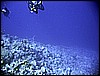 IMG_0794.JPG