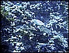IMG_0795.JPG
