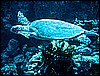 IMG_0796.JPG