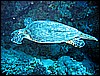 IMG_0797.JPG