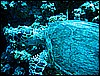 IMG_0798.JPG