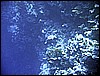 IMG_0801.JPG