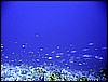IMG_0804.JPG
