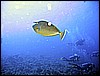IMG_0809.JPG