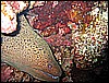 IMG_0810.JPG