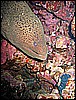 IMG_0811.JPG