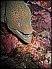 IMG_0812.JPG