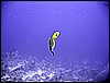 IMG_0813.JPG