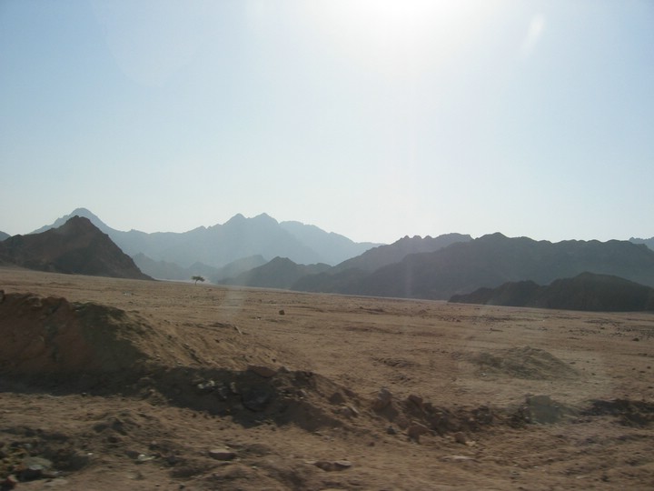 IMG_0835.JPG