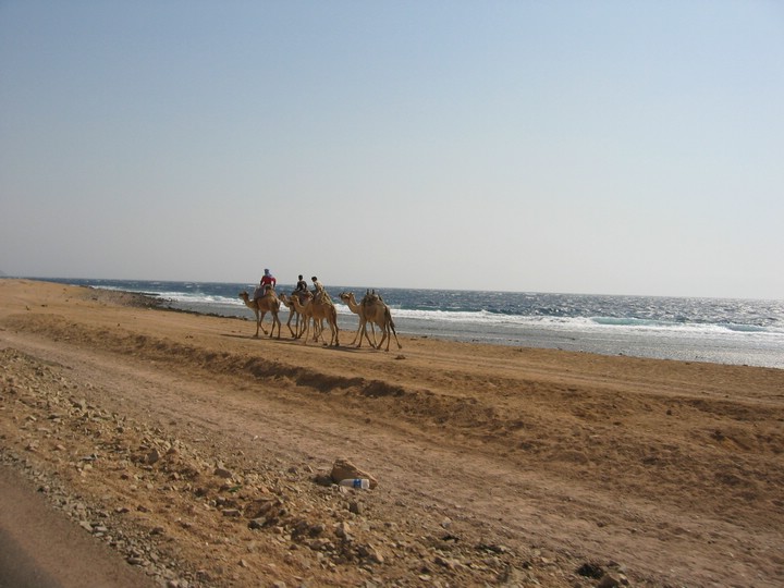 IMG_0848.JPG