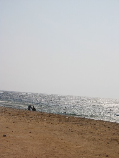 IMG_0850.JPG