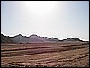 IMG_0833.JPG