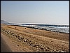 IMG_0847.JPG