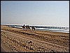 IMG_0848.JPG