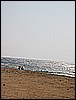 IMG_0850.JPG
