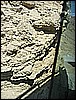 IMG_0853.JPG