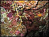 IMG_0869.JPG