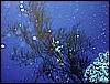 IMG_0873.JPG