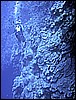 IMG_0874.JPG