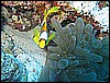 IMG_0882.JPG