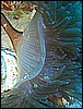 IMG_0883.JPG