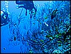 IMG_0885.JPG