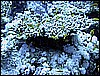 IMG_0886.JPG