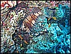 IMG_0889.JPG