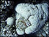 IMG_0890.JPG