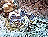 IMG_0893.JPG