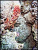 IMG_0894.JPG