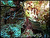 IMG_0896.JPG