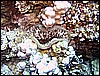 IMG_0897.JPG