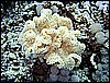 IMG_0900.JPG