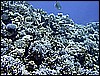 IMG_0903.JPG
