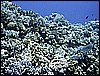 IMG_0904.JPG
